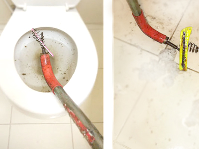 Nisi officia adipisci molestiae aliquam