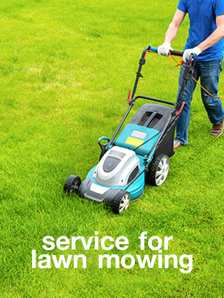 Inventore voluptates velit totam ipsa tenetur